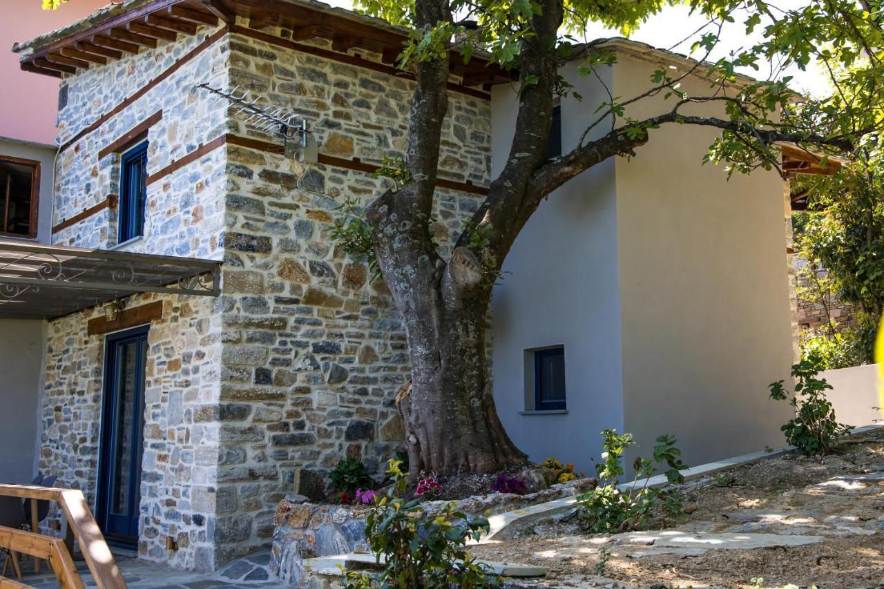 Guesthouse Iris Tsagarada Exterior photo